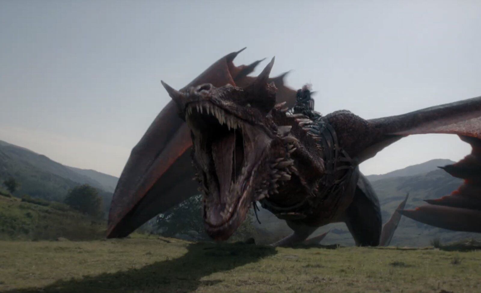 HBO