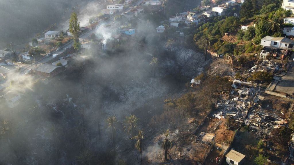 alcaldesa macarena ripamonti - incendios viña del mar