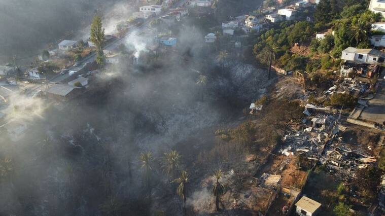 alcaldesa macarena ripamonti - incendios viña del mar