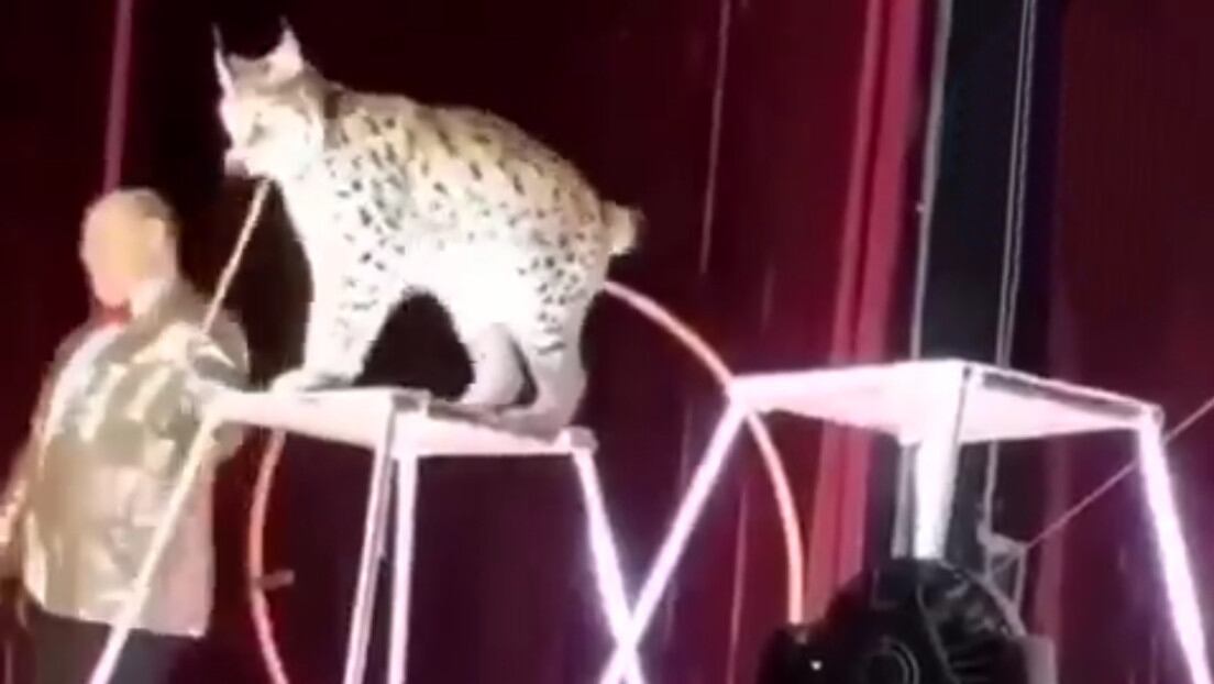 Captura de video