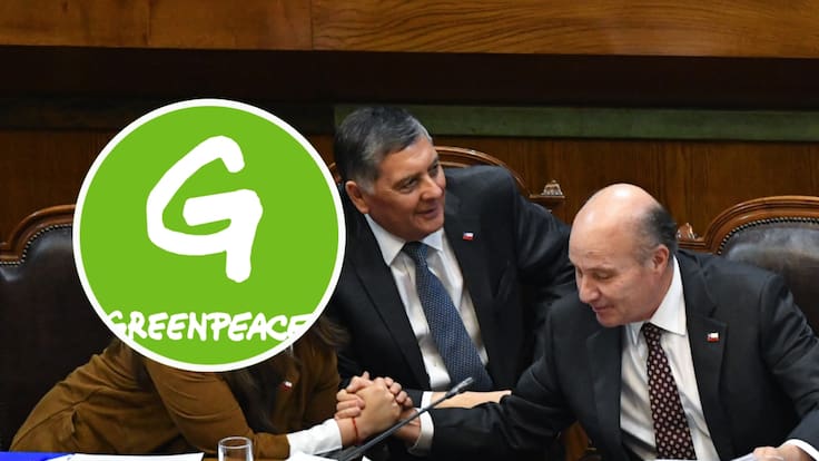 Greenpeace denuncia que megarreforma del Gobierno permite trasladar salmoneras infractoras a reservas marinas protegidas