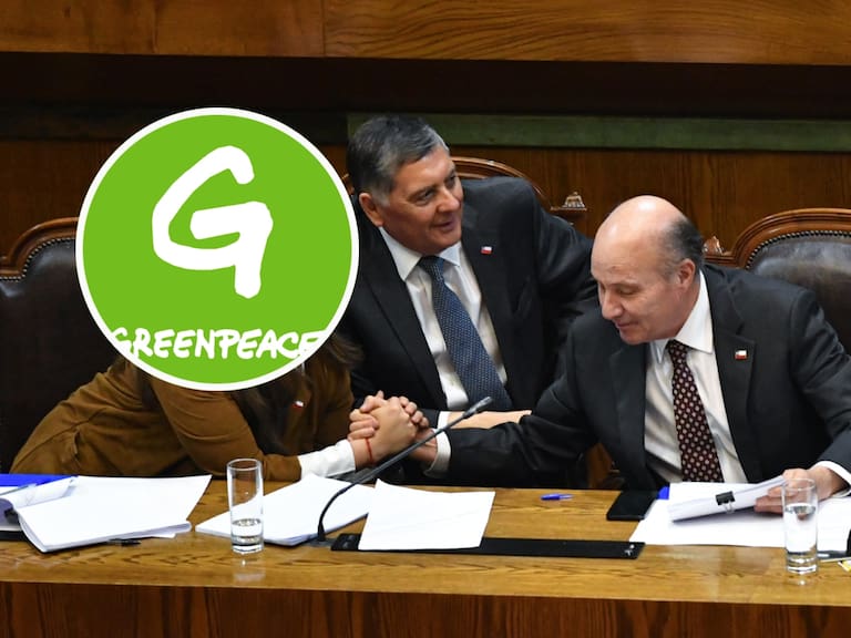 Greenpeace denuncia que megarreforma del Gobierno permite trasladar salmoneras infractoras a reservas marinas protegidas