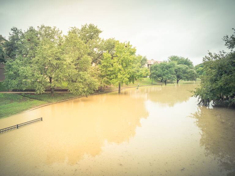 Pasó 16 horas en una zanja: perrita atrapada en inundaciones de Texas fue rescatada gracias a GPS