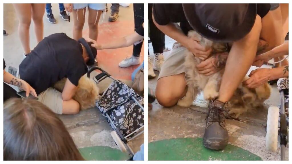 Emocionante reencuentro: joven volvió a ver a su perrito tras incendios forestales en Viña del Mar