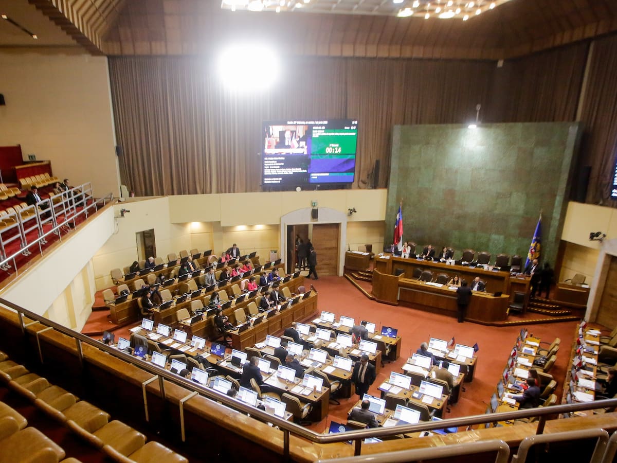 Caso Cerimedo: parlamentarios reúnen firmas y Comisión Investigadora queda a un paso de ser votada en la Cámara