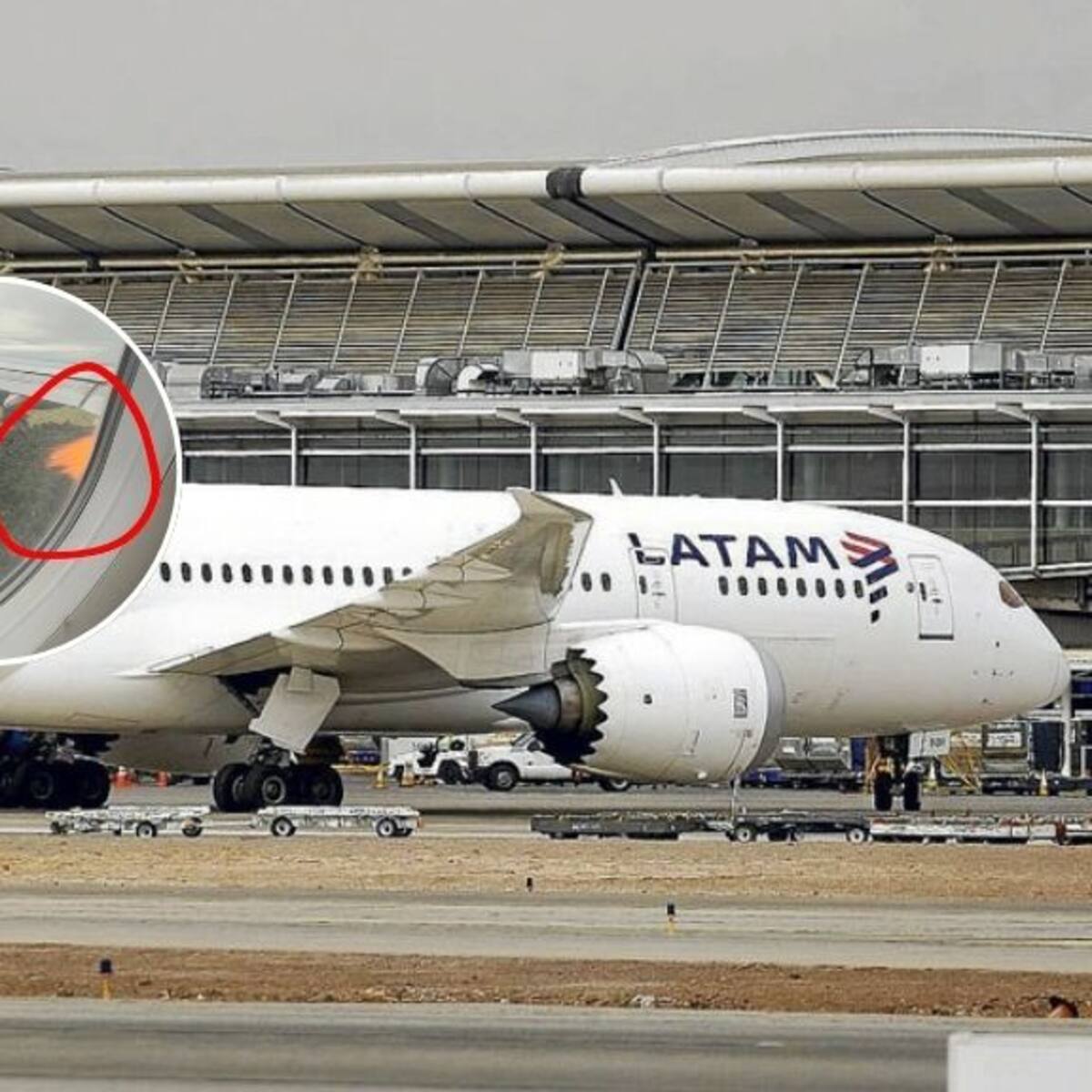 Vuelo de LATAM debió regresar de emergencia a Puerto Montt tras impactar con una bandada de aves