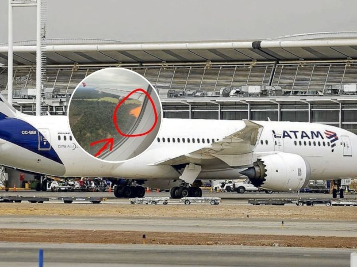 Vuelo de LATAM debió regresar de emergencia a Puerto Montt tras impactar con una bandada de aves