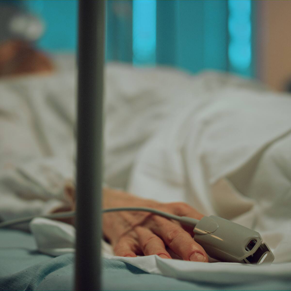 Mujer de 40 años permanece grave y conectada a ventilación tras contagiarse de Hantavirus en Palena: fue trasladada a Concepción