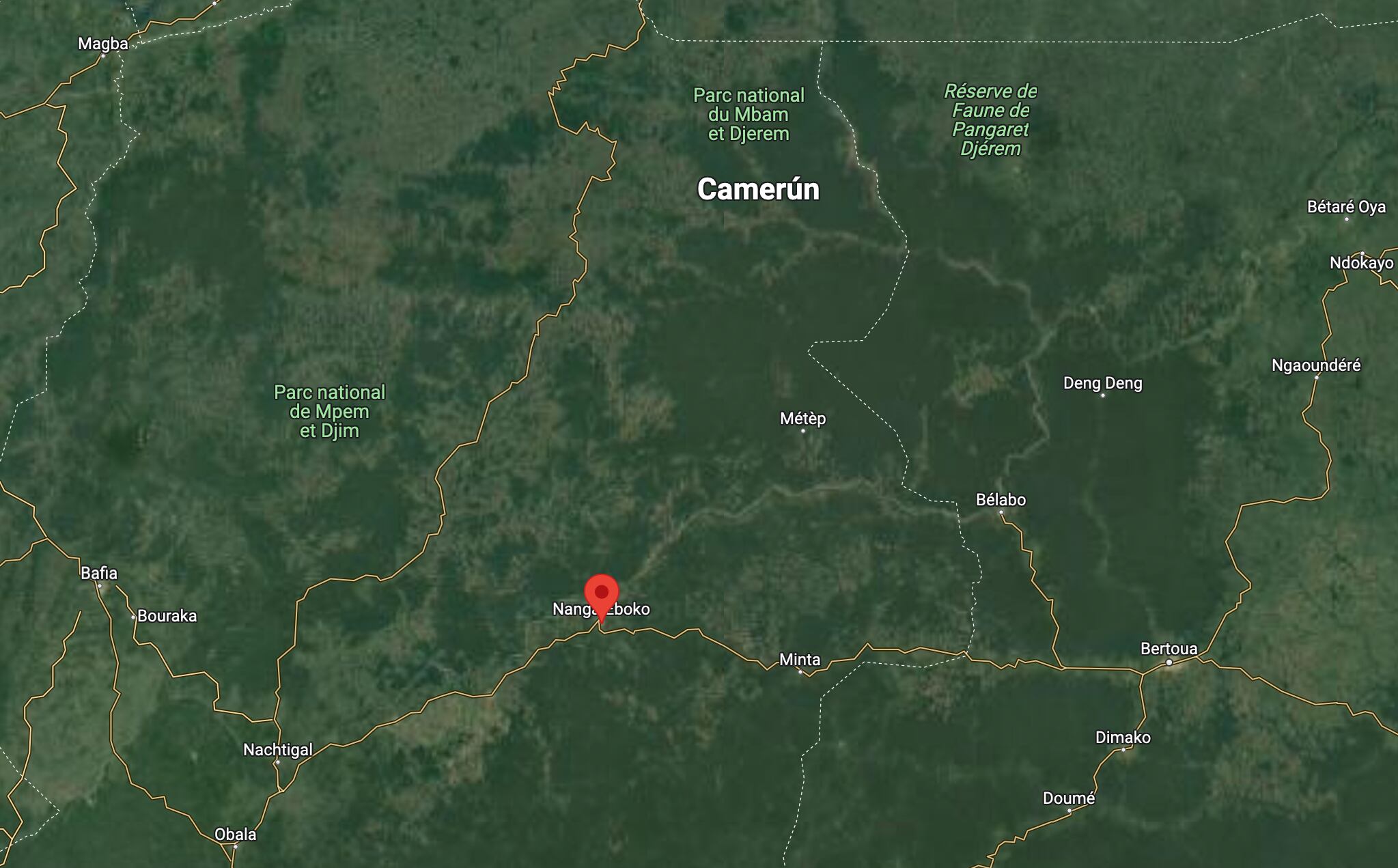 La zona de Nanga Eboko donde se estrelló un avión en Camerún