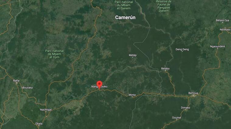 La zona de Nanga Eboko donde se estrelló un avión en Camerún