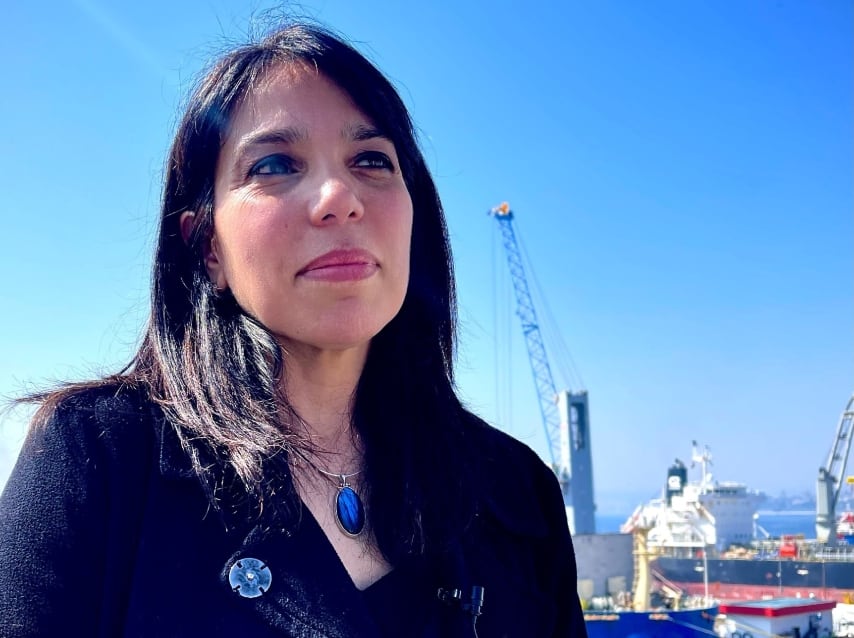 Ministro de Hacienda pide la renuncia a la directora nacional de Aduanas Alejandra Arriaza