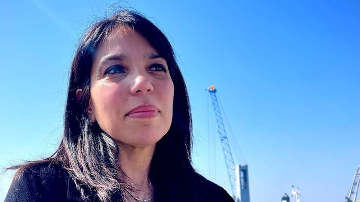 Ministro de Hacienda pide la renuncia a la directora nacional de Aduanas Alejandra Arriaza