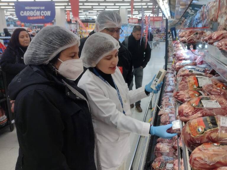 Fiestas Patrias: Seremi decomisa más de dos toneladas de carne en Los Lagos