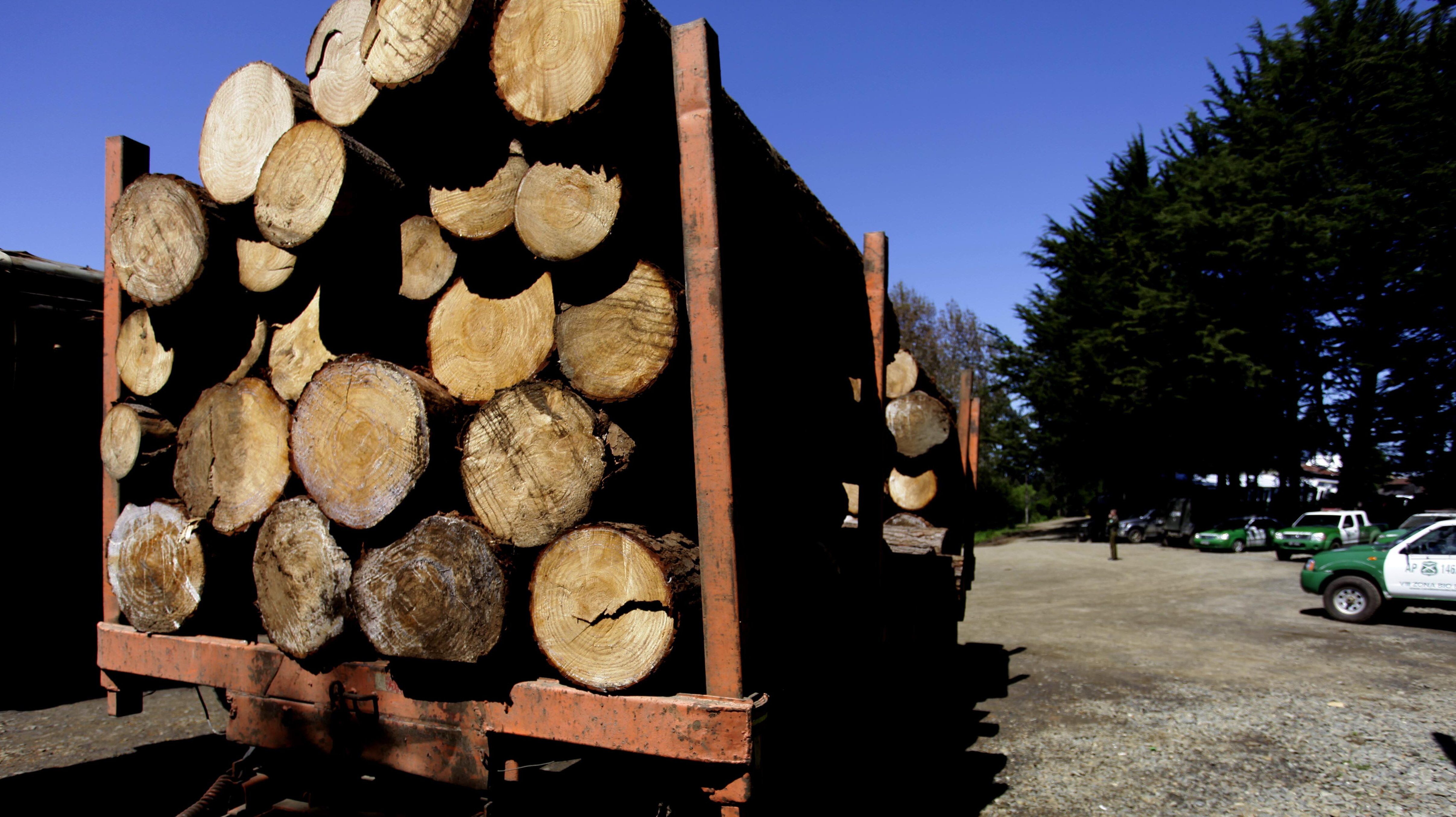 Sofofa por robo de madera