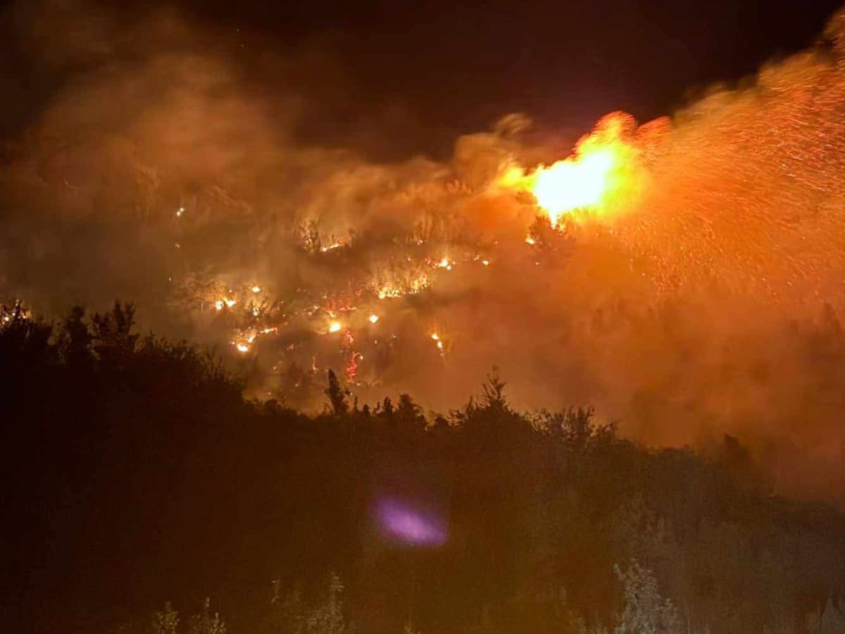 Emergencia en la Región de Los Lagos: Incendio forestal amenaza a viviendas en Cochamó