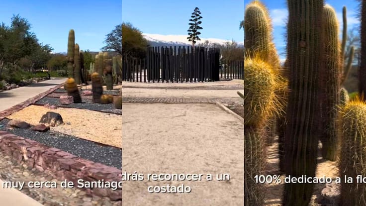 “Una verdadera joya escondida”: así es el poco conocido jardín botánico a solo 30 minutos de Santiago (y cómo llegar)