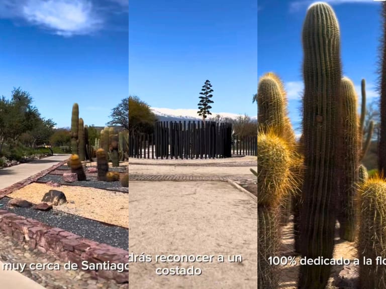 “Una verdadera joya escondida”: así es el poco conocido jardín botánico a solo 30 minutos de Santiago (y cómo llegar)