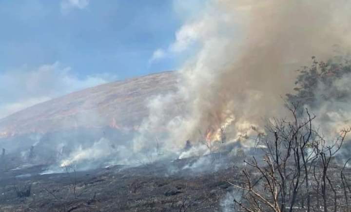 Incendio forestal en Parque Nacional Rapa Nui | Bomberos