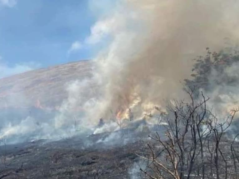 Incendio forestal en Parque Nacional Rapa Nui | Bomberos