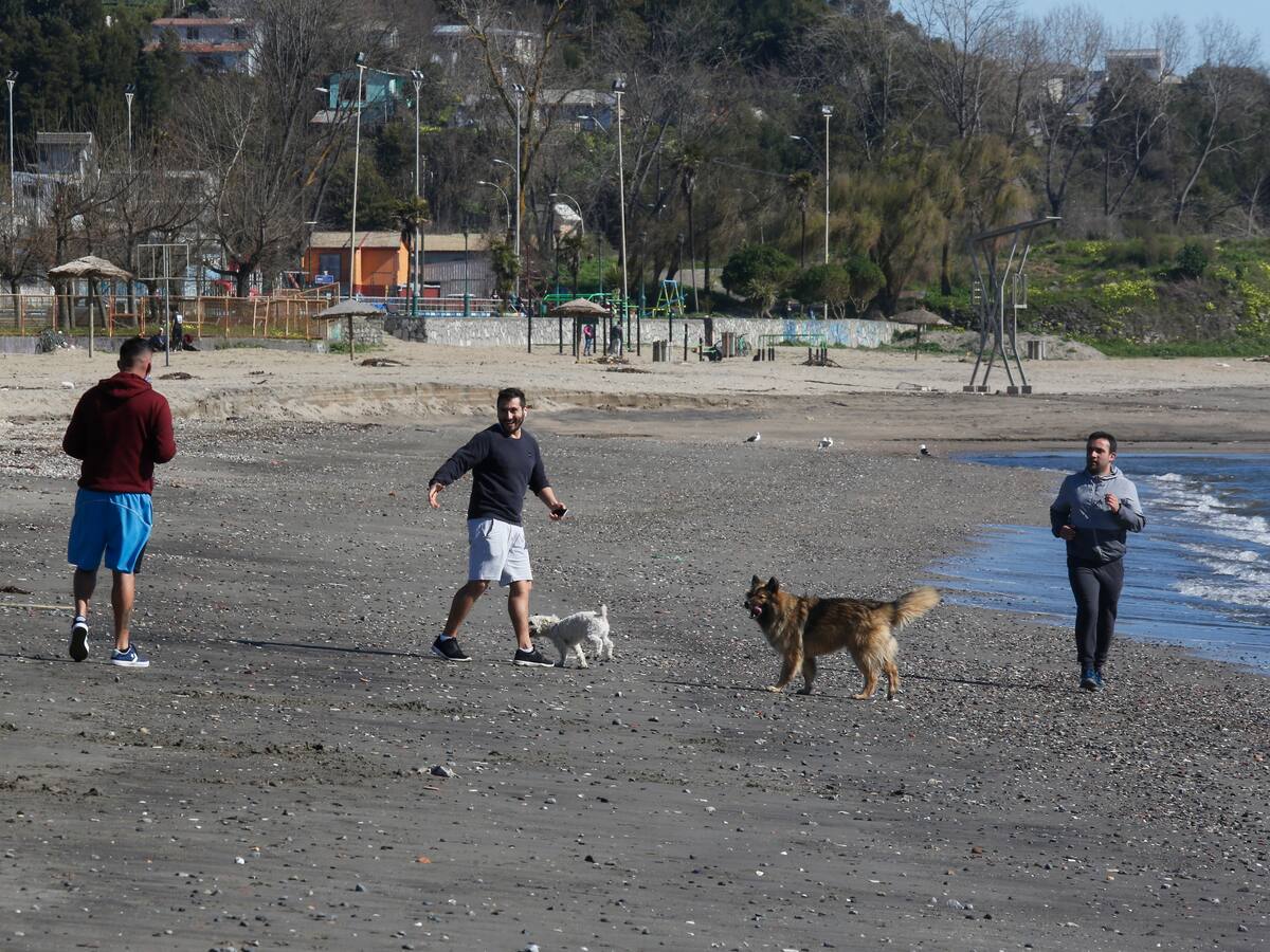 Entrega de permisos temporales registró una importante disminución durante las últimas 24 horas