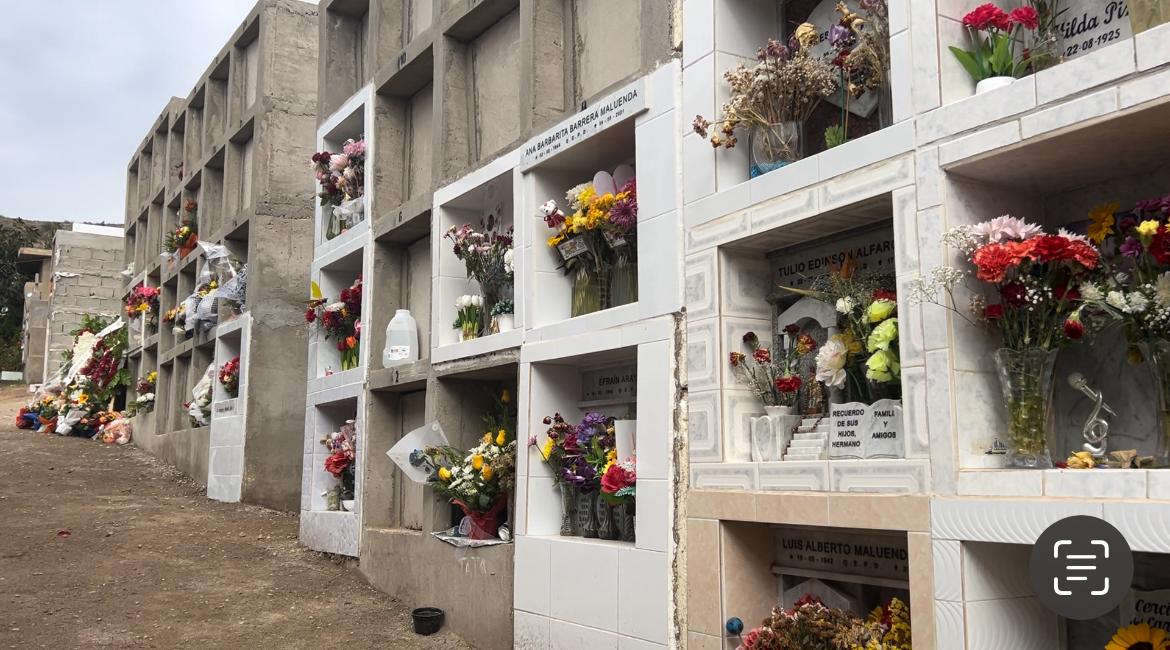 Cementerio Punitaqui