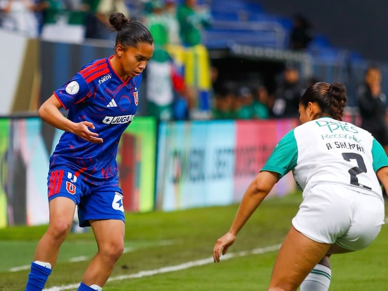 Foto: @udechilefem en X