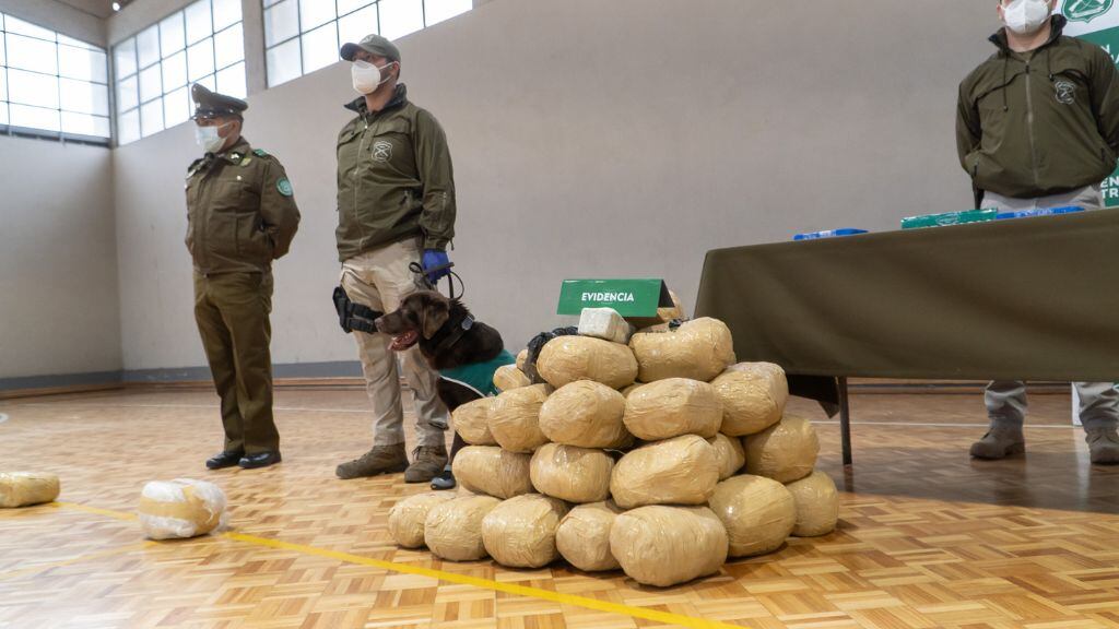 Operación leyenda, operativo, drogas, región del biobío, 1024x576 jpg ok