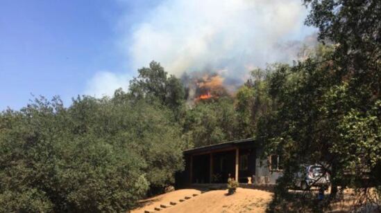 Incendio forestal en cerro Manquehue