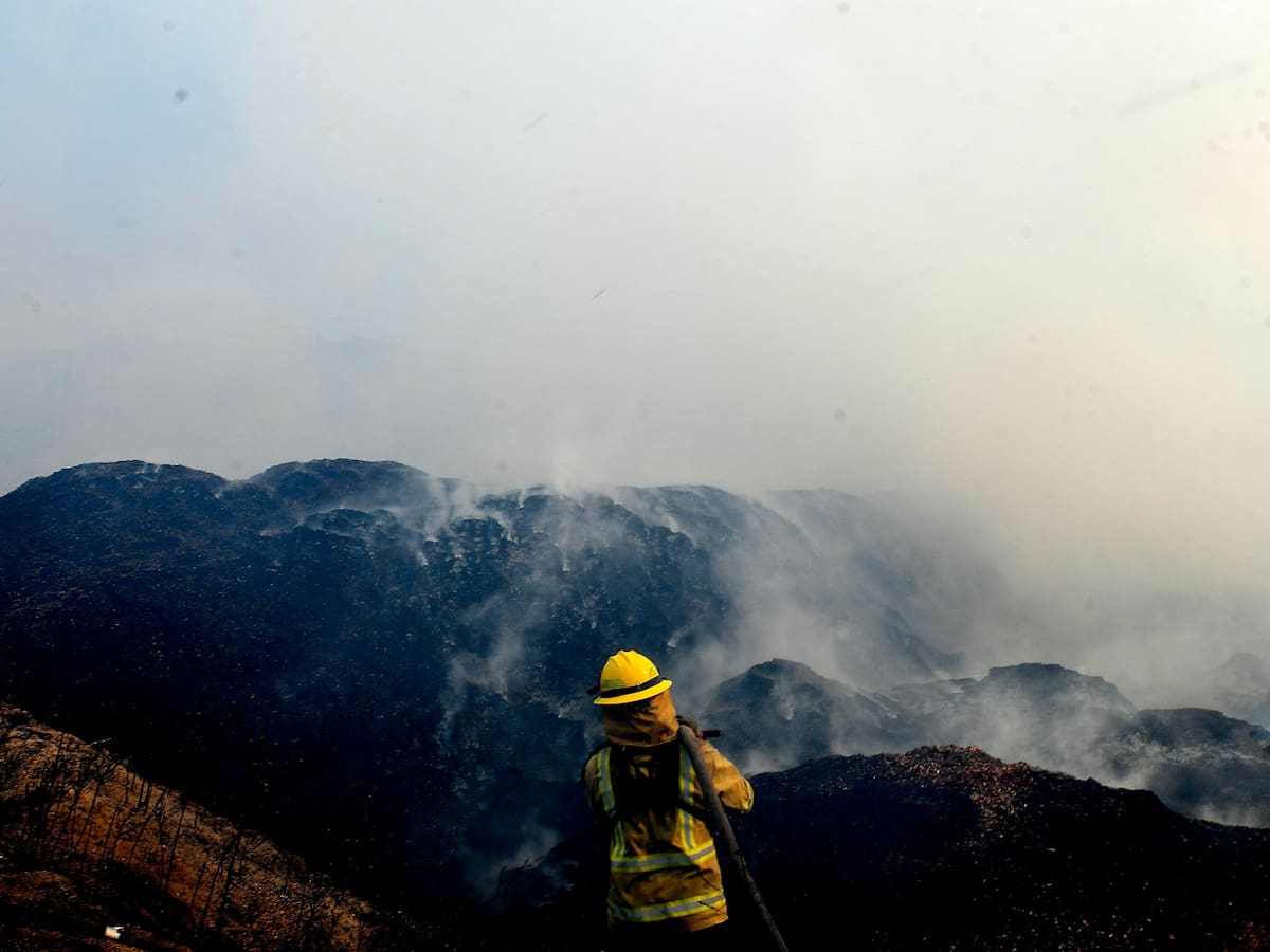 Incendio forestal en sector Los Molles moviliza amplio despliegue de brigadas en Quilpué: piden evitar circular por el sector