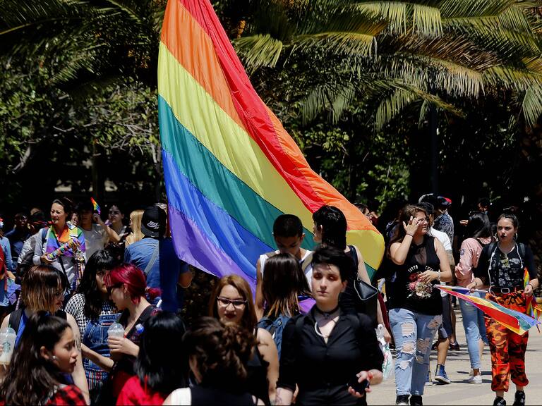 Contraloría ofició al CNTV por permitir mensajes homofóbicos y transfóbicos en la franja electoral del Plebiscito