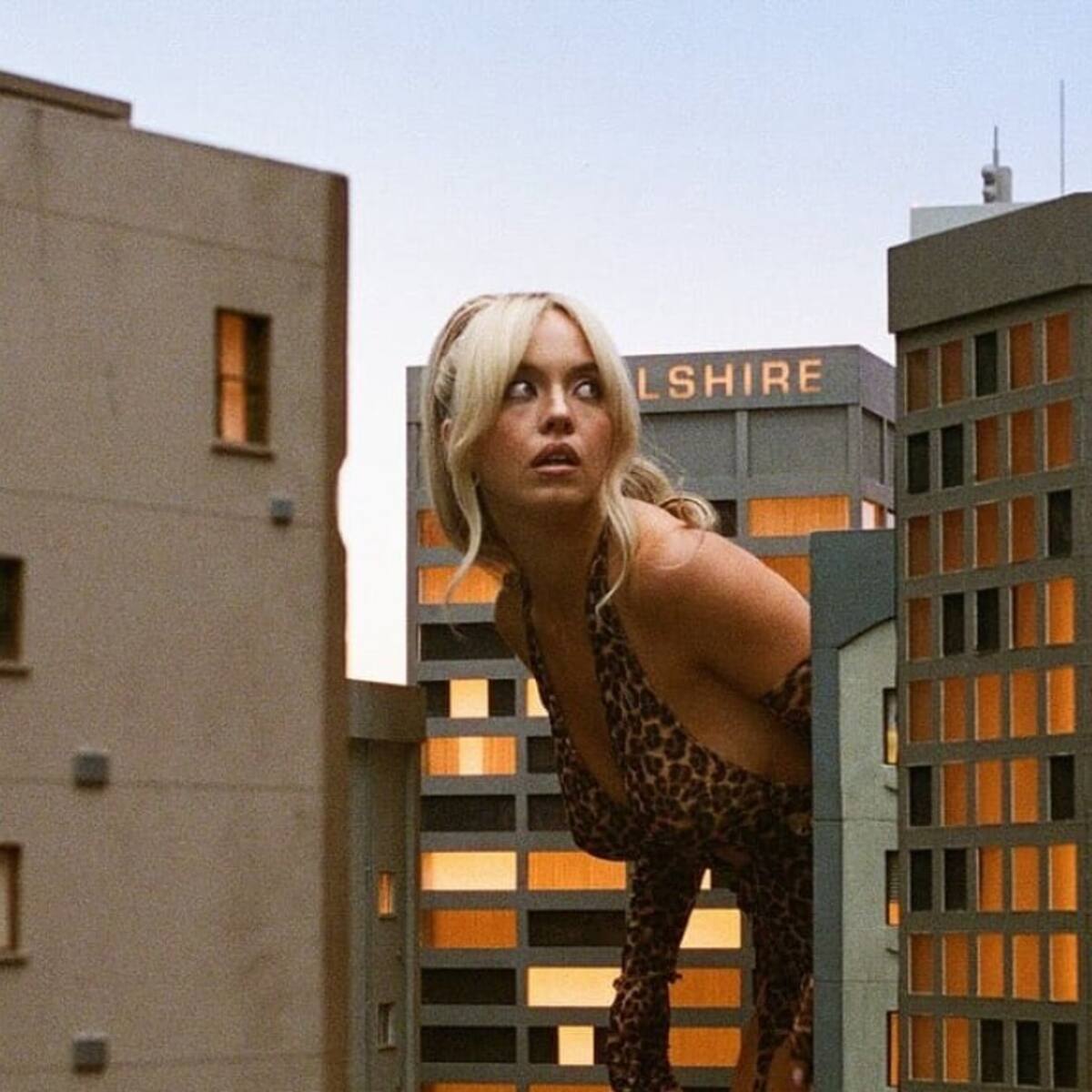 Más allá de la ficción: qué es la macrofilia, el fenómeno que ‘Euphoria’ reflotó de la mano de Sydney Sweeney