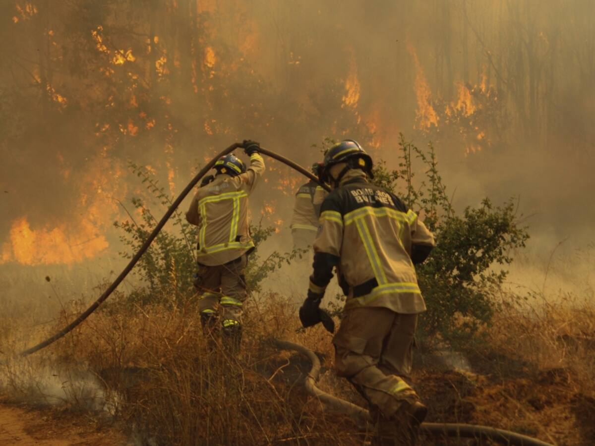 Por amenaza inminente a viviendas: declaran Alerta Roja en Corral y Valdivia por incendios forestales