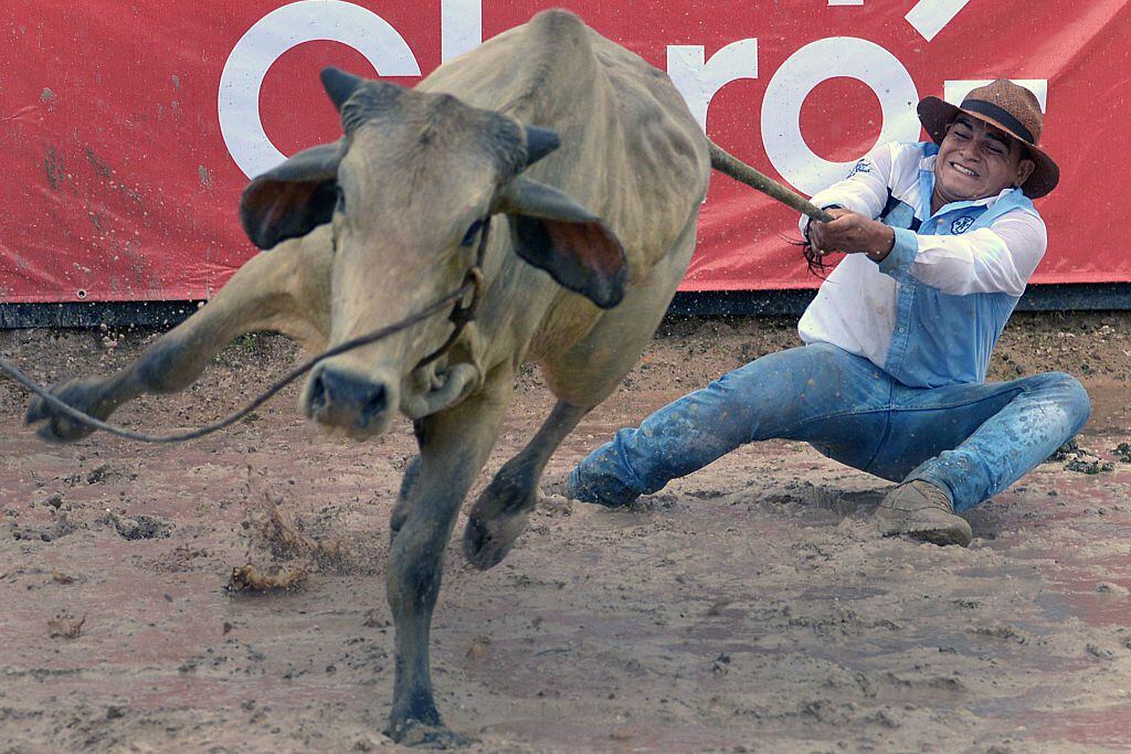 Municipalidad de Paine anuncia que polémica “Fiesta Llanera 2024″ no cuenta con autorización