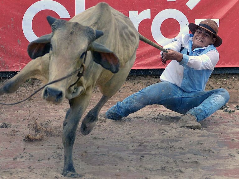 Municipalidad de Paine anuncia que polémica “Fiesta Llanera 2024″ no cuenta con autorización