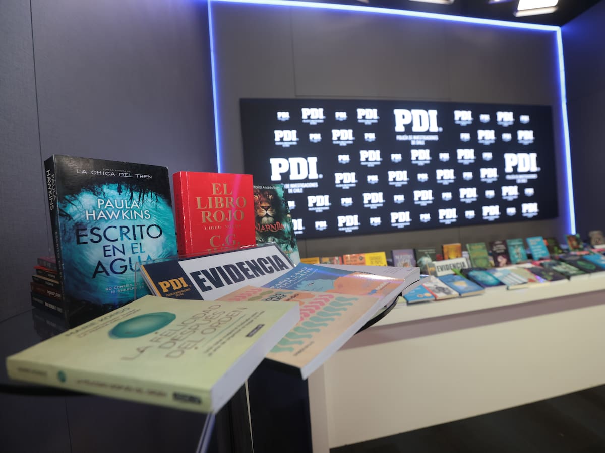 Incautan más de 150 mil libros falsificados a organización que operaba desde una imprenta en Santiago: perjuicio económico supera los $6 mil millones