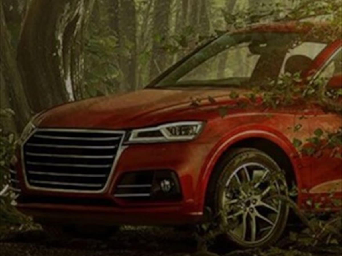 ADN Motor: Movicenter plantará alrededor de 20 mil árboles este año debido a las emisiones de CO2