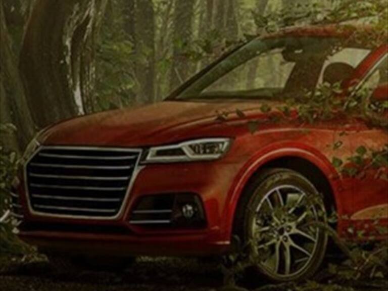 ADN Motor: Movicenter plantará alrededor de 20 mil árboles este año debido a las emisiones de CO2