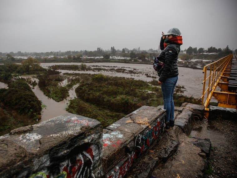 Campamento Rivera del Río en Talagante