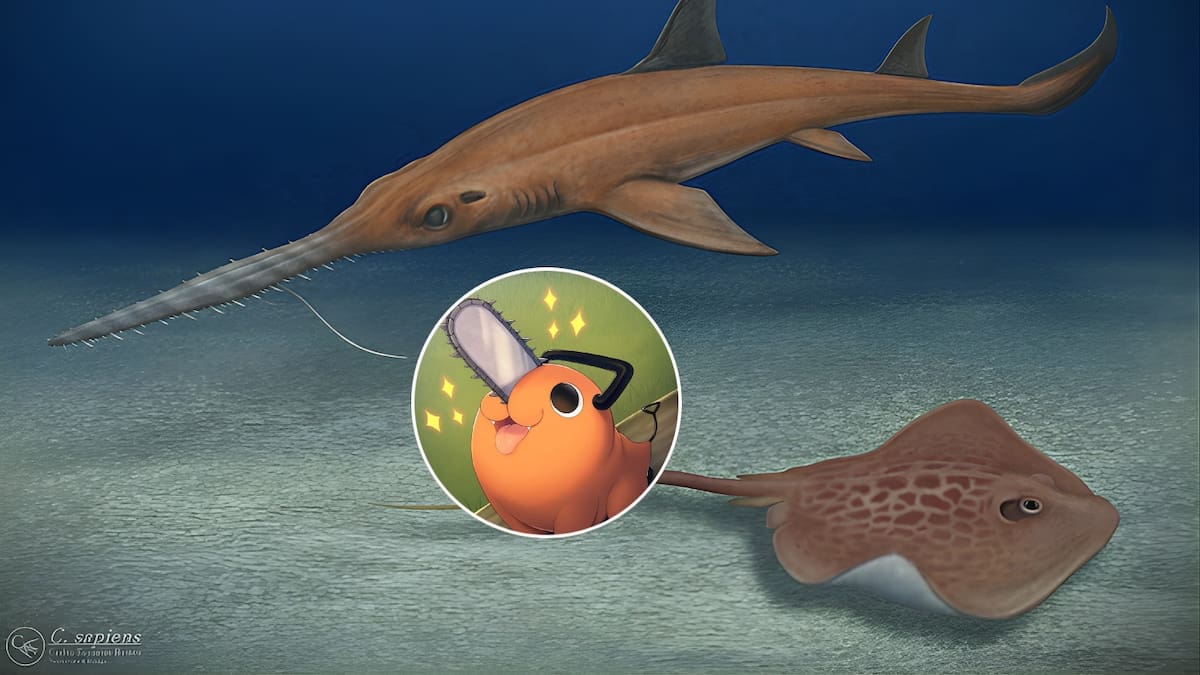 Paleontólogos chilenos identifican nuevas especies fósiles en Bahía Inglesa