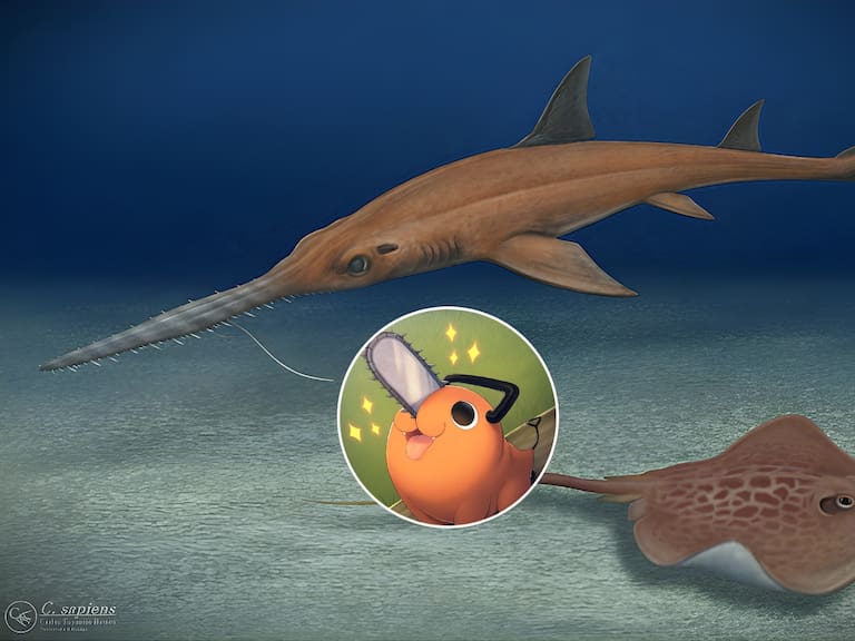 Paleontólogos chilenos identifican nuevas especies fósiles en Bahía Inglesa