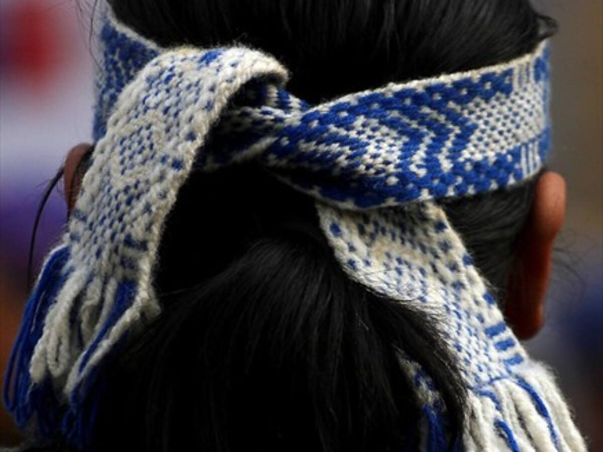 92% de los mapuche emprende para controlar sus recursos y no depender del Estado
