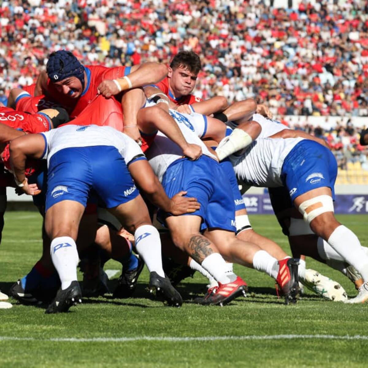 ¡Locura en Viña! Chile vence a Samoa y clasifica por segunda vez en su historia al Mundial de Rugby