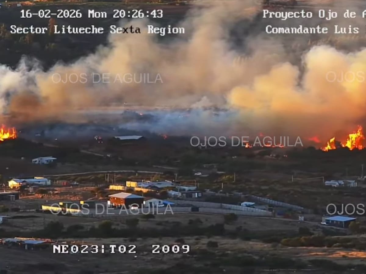 Declaran Alerta roja en Litueche por incendio forestal cercano a viviendas de Parcelación Los Rosales