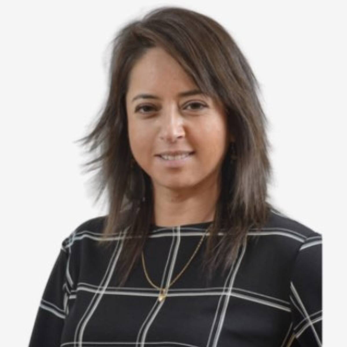 Comisión de ética de Biobío analizará caso de agresión de CORE Diana González: fue detenida por golpear a su hermana y a un carabinero