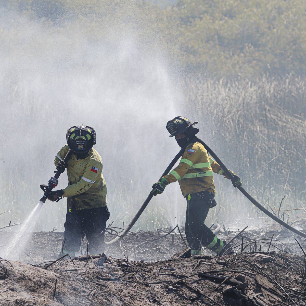 Hallan cuerpo de adulto mayor perdido tras incendio que destruyó vivienda en Puerto Octay
