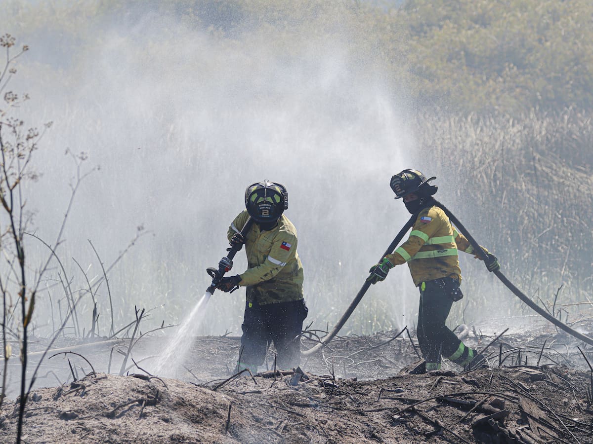 Hallan cuerpo de adulto mayor perdido tras incendio que destruyó vivienda en Puerto Octay