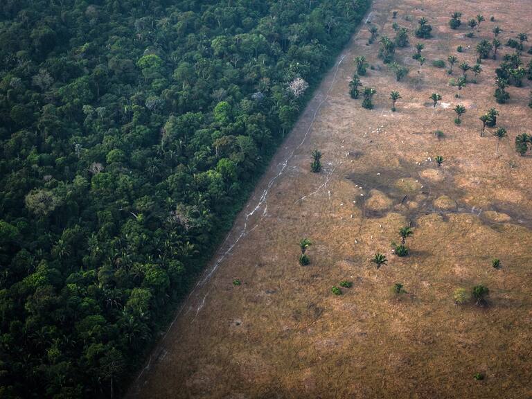 Este 29 de julio, la tierra agotó los recursos naturales de todo el 2021