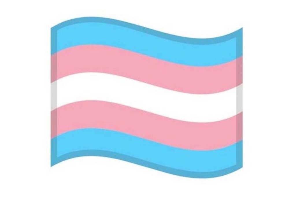 Emoji de la bandera trans en WhatsApp
