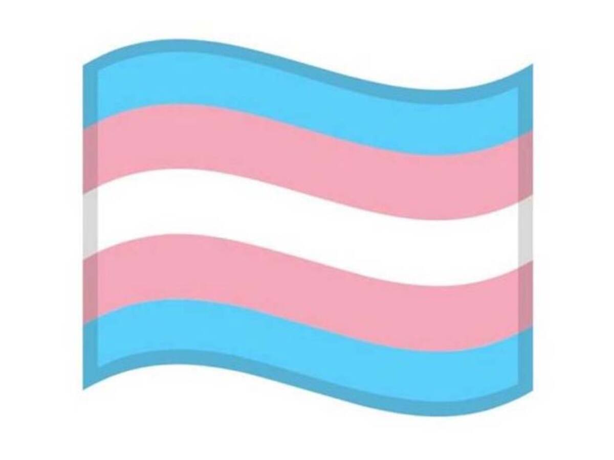 Emoji de la bandera trans en WhatsApp: ¿Qué significa y cuándo usarla?
