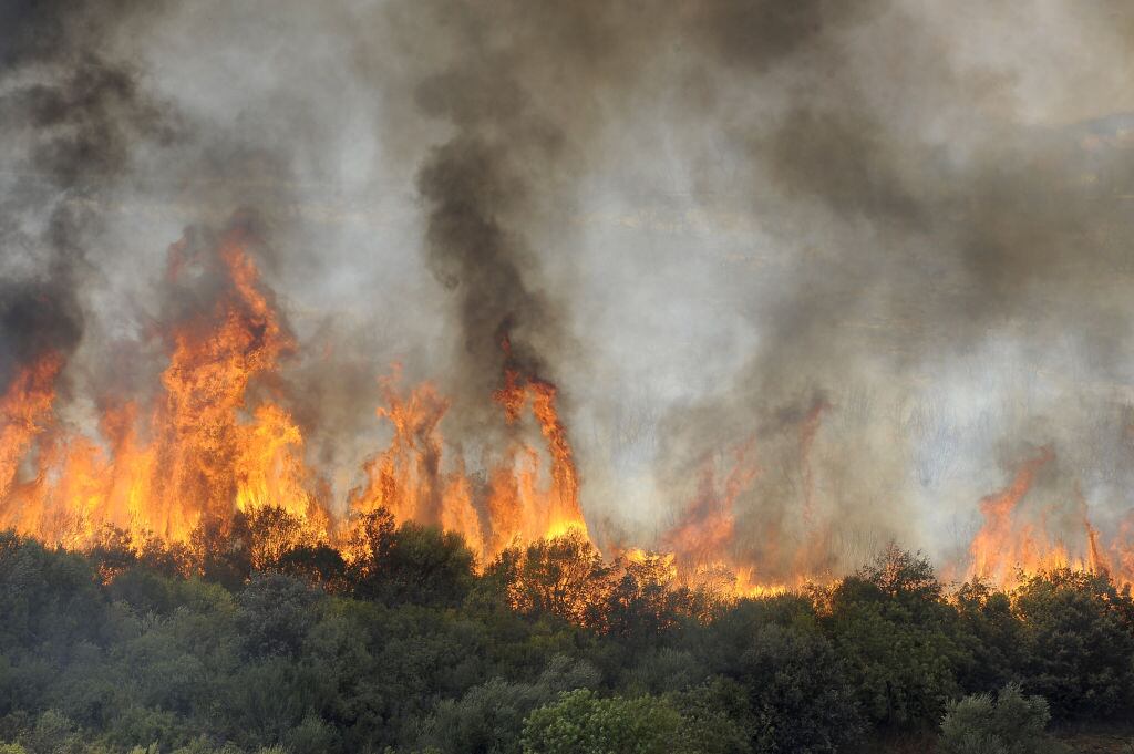Los equipos de emergencia enfrentan los incendios forestales en Argelia